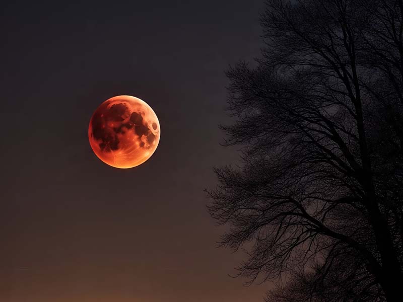 Blood Moon
